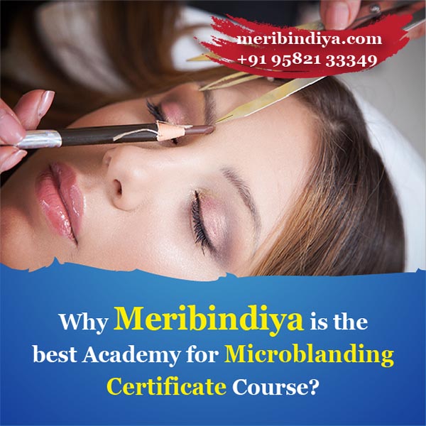 Why Meribindiya is the best Academy for Microblanding Certificate Course?