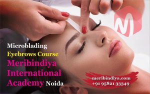 Microblading Eyebrows Course | Meribindiya International Academy Noida